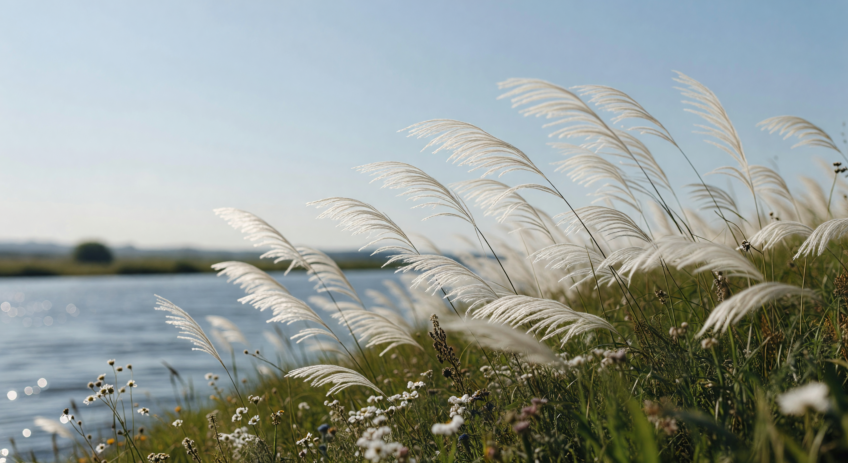 ナチュラルモーメンツ